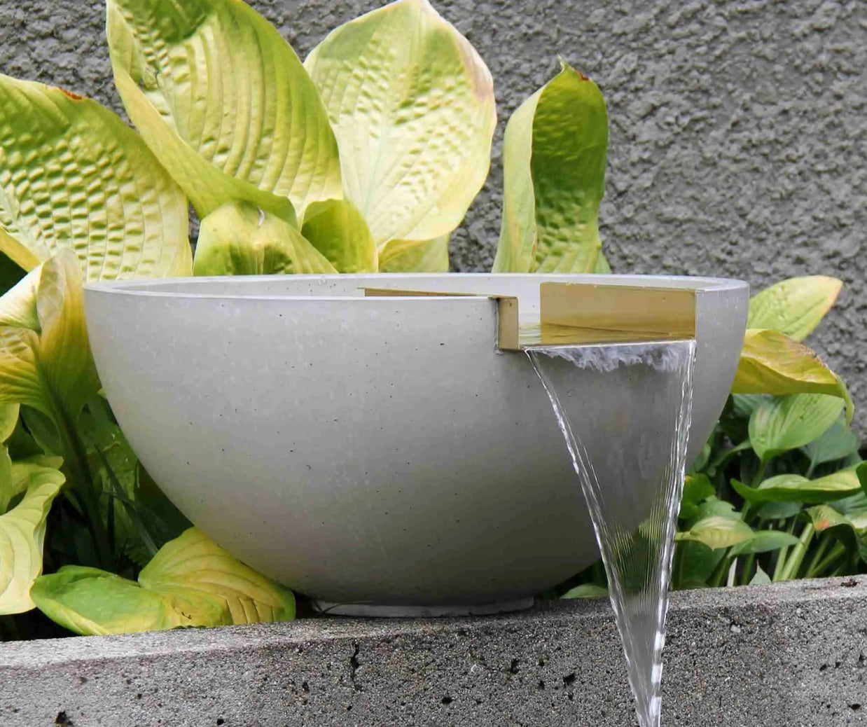 Scupper Water Bowl